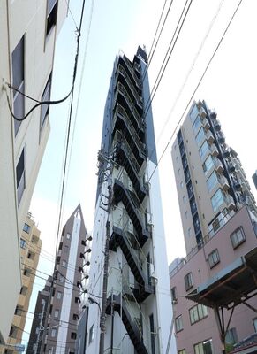 パレットコート