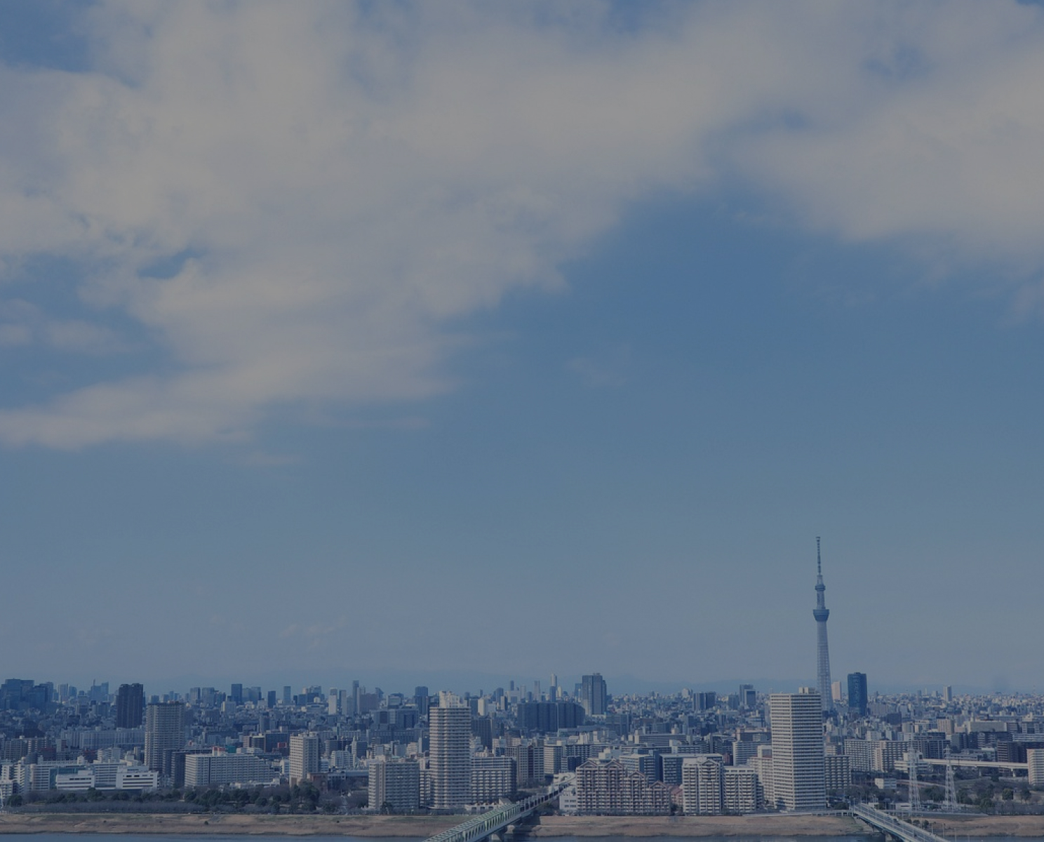 不動産ネットワーク